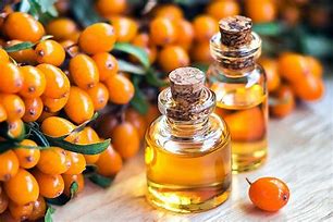 Sea Buckthorn Oil Product Image