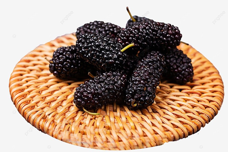 Organic Mulberry Candy Product Image